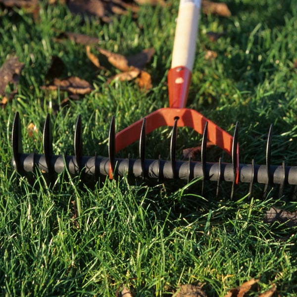 rake rests on the grass