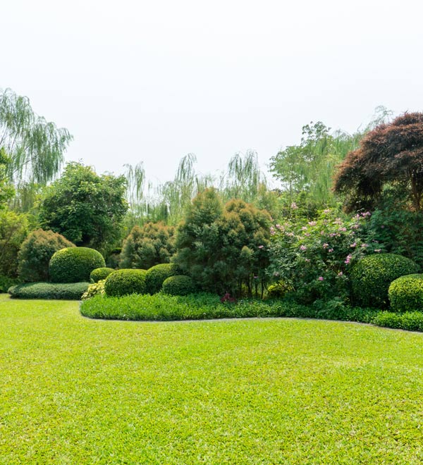 green lawn surrounded by lush bushes and trees