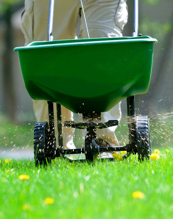 man mows the grass