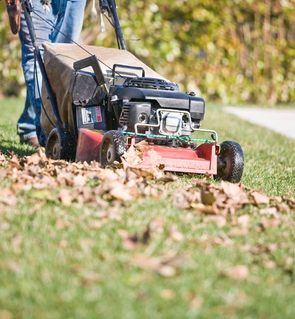 Man trim the grass