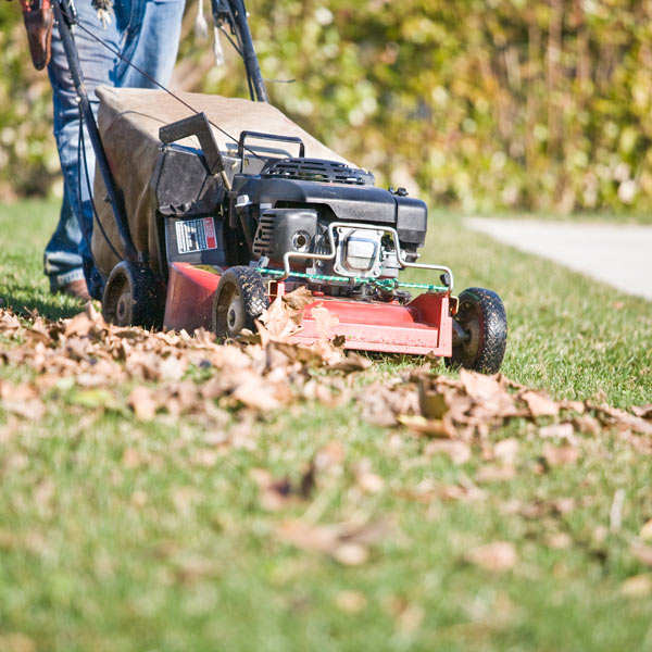 Man trim the grass