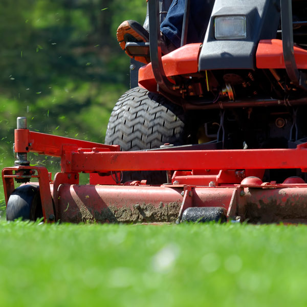 GregoryTurfExperts-178033413