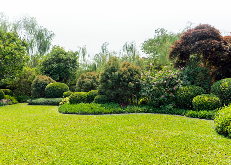 Lawn Care Company in Brookfield, WI