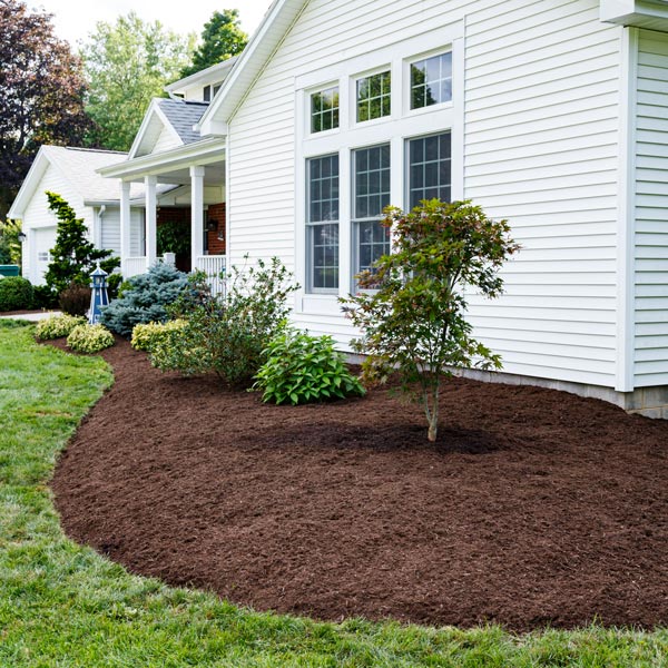Fresh New Landscaping at Suburban Home